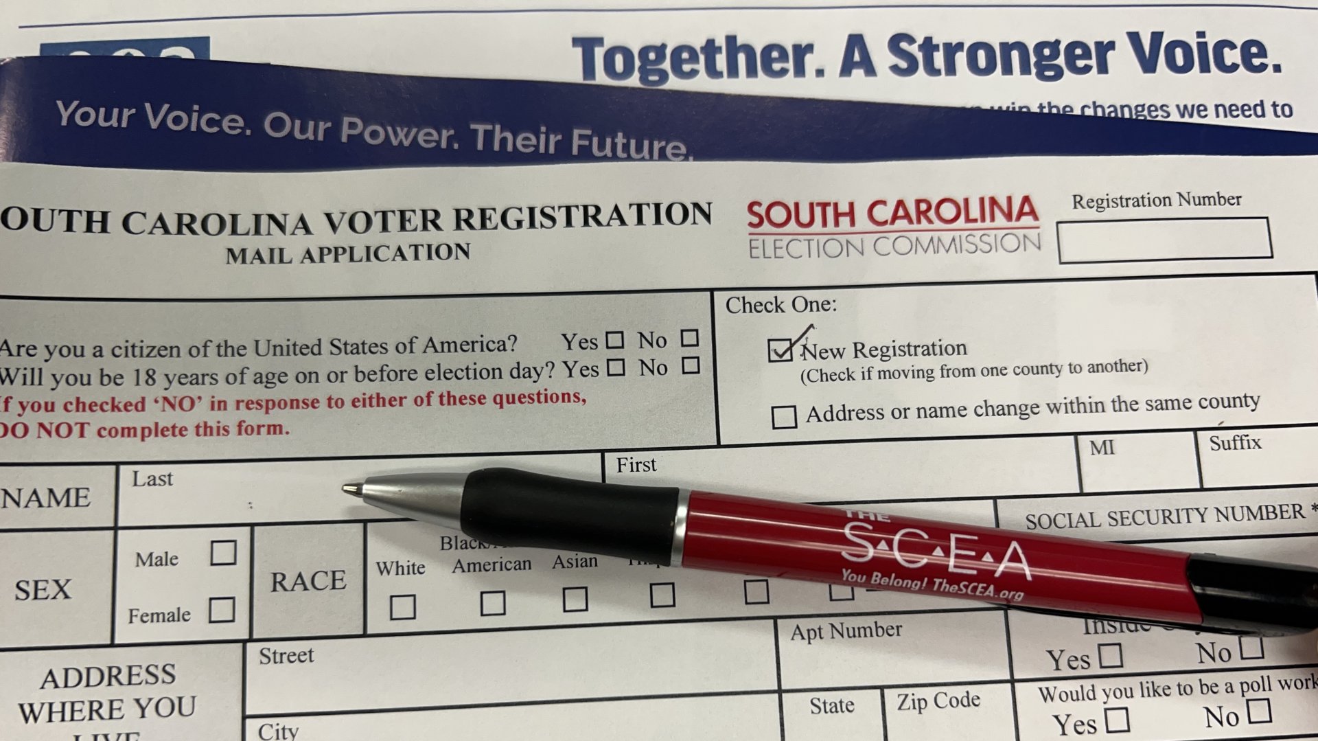 Election Information The SCEA