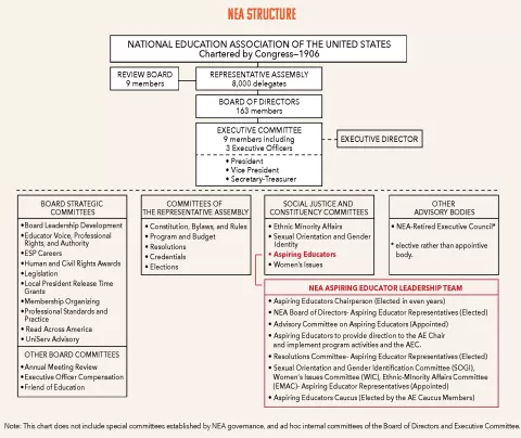 NEA Structure